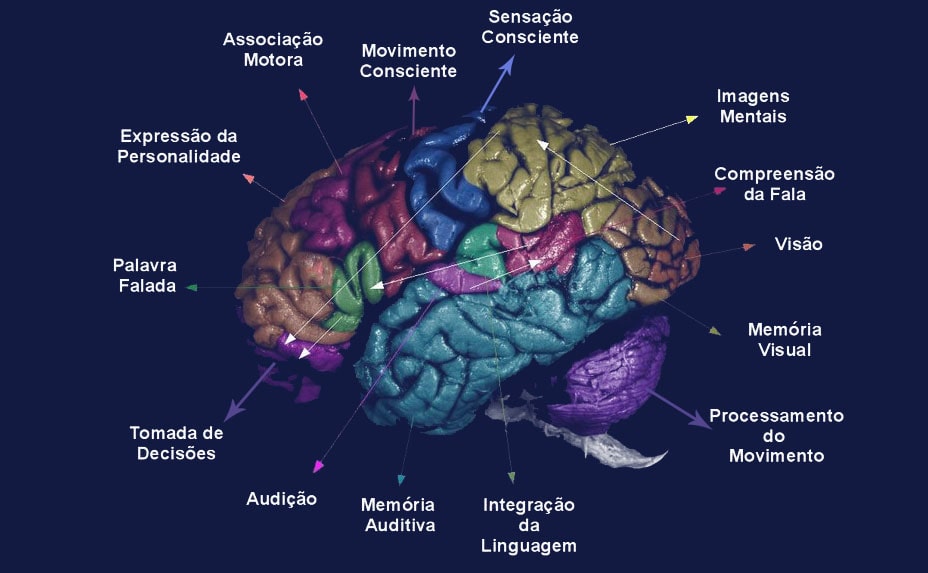 Curso gratuito de Básico em Avaliação Neuropsicológica 