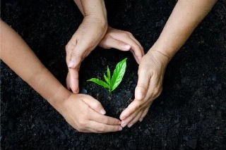 Curso Online Básico em Educação Ambiental